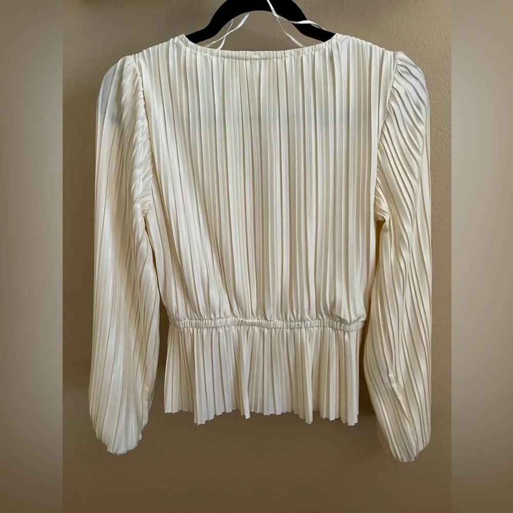 Japna Pleated Wrap Blouse - Picture 2 of 3